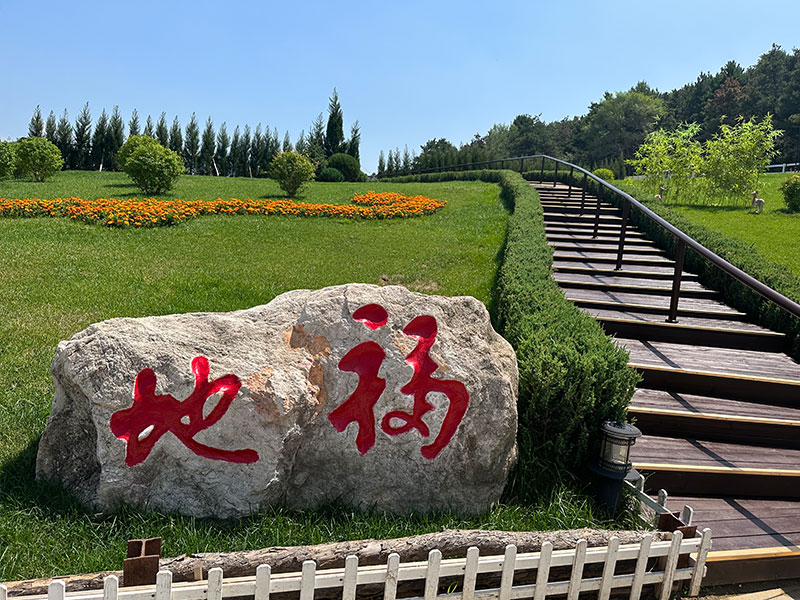 墓园环境